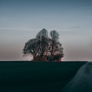 Превью обои дерево, закат, трава, горизонт