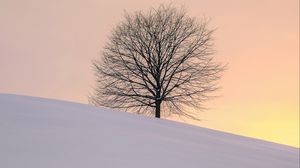 Превью обои дерево, зима, минимализм, снег, пригорок