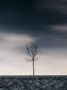 Превью обои дерево, зима, минимализм, снег, звездное небо