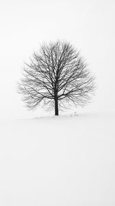 Превью обои дерево, зима, снег, минимализм, чб