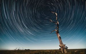 Превью обои дерево, звездное небо, длинная выдержка, звезды, движение, калейдоскоп