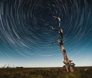 Превью обои дерево, звездное небо, длинная выдержка, звезды, движение, калейдоскоп