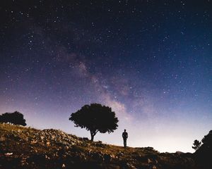 Превью обои дерево, звездное небо, ночь, силуэт