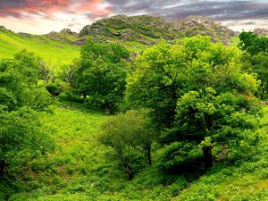 Превью обои деревья, зеленый, ярко, трава, лето, горы, рельеф, низина, ландшафт, небо