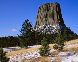 Превью обои devils tower national monument, вайоминг, гора, деревья