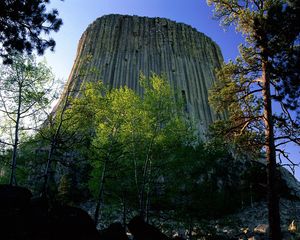 Превью обои devils tower national monument, вайоминг, гора, деревья, высота