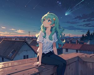 Превью обои девушка, дома, крыши, звезды, ночь, аниме, арт