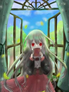 Превью обои девушка, книга, окно, аниме