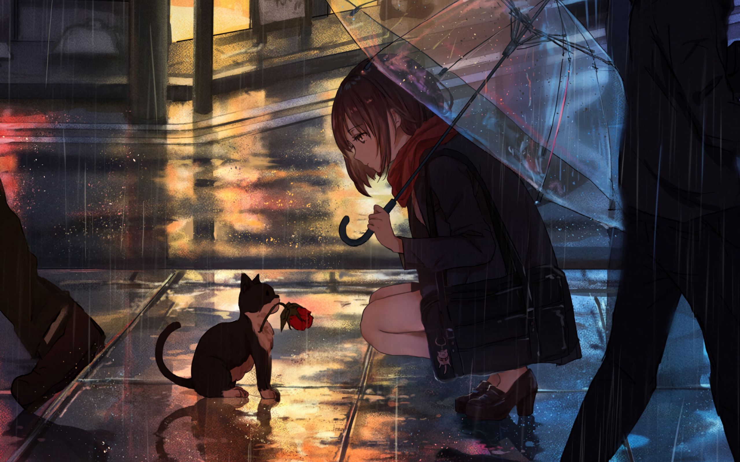 2560x1600 Обои девушка, котенок, цветок, аниме, улица, дождь