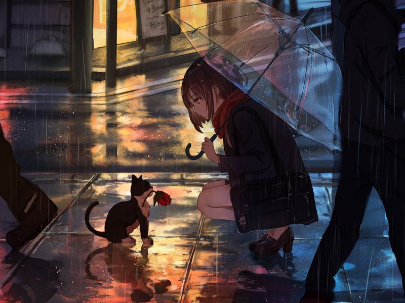 800x600 Обои девушка, котенок, цветок, аниме, улица, дождь