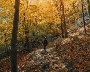 Превью обои девушка, лес, тропинка, деревья, склон, осень