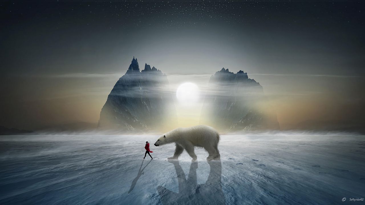 Обои девушка, медведь, снег, горы, полярный, друг, фотошоп