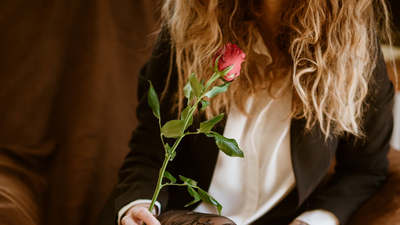 Обои девушка, ноги, чулки, роза, цветок