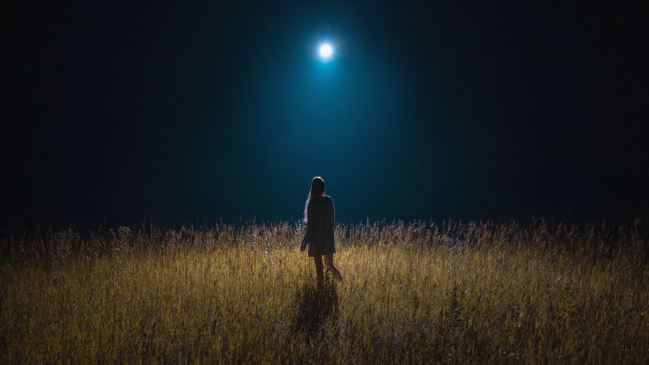 Обои девушка, поле, ночь, луна, лунный свет
