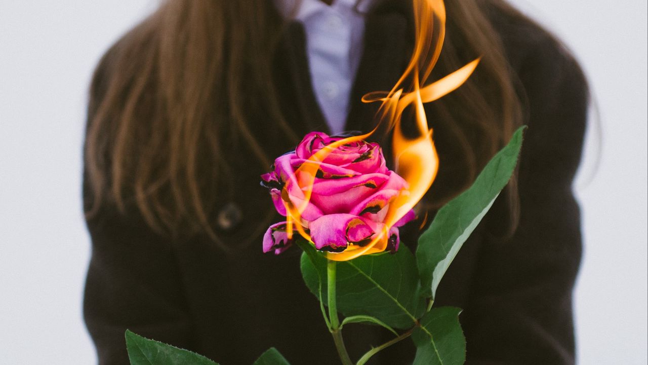 Обои девушка, роза, цветок, огонь, руки, пламя