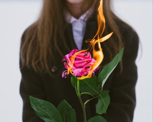 Превью обои девушка, роза, цветок, огонь, руки, пламя