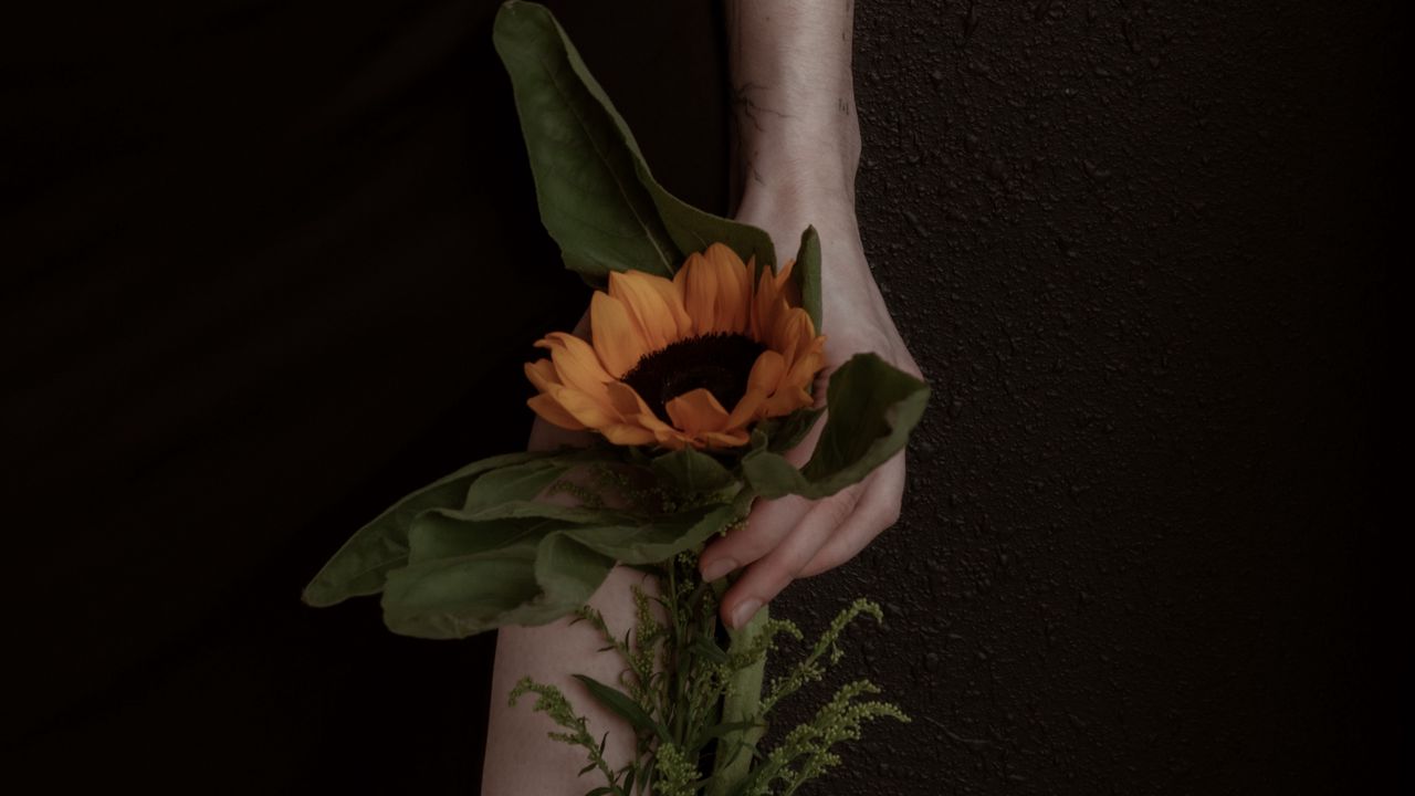 Обои девушка, рука, подсолнух, цветок, тату