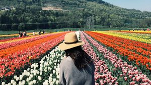 Превью обои девушка, тюльпаны, цветы, поле, разноцветный