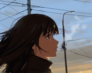 Превью обои девушка, взгляд, небо, сумерки, аниме