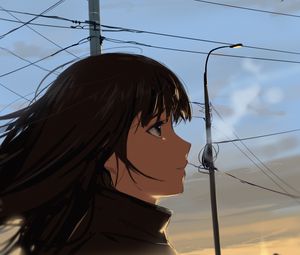 Превью обои девушка, взгляд, небо, сумерки, аниме