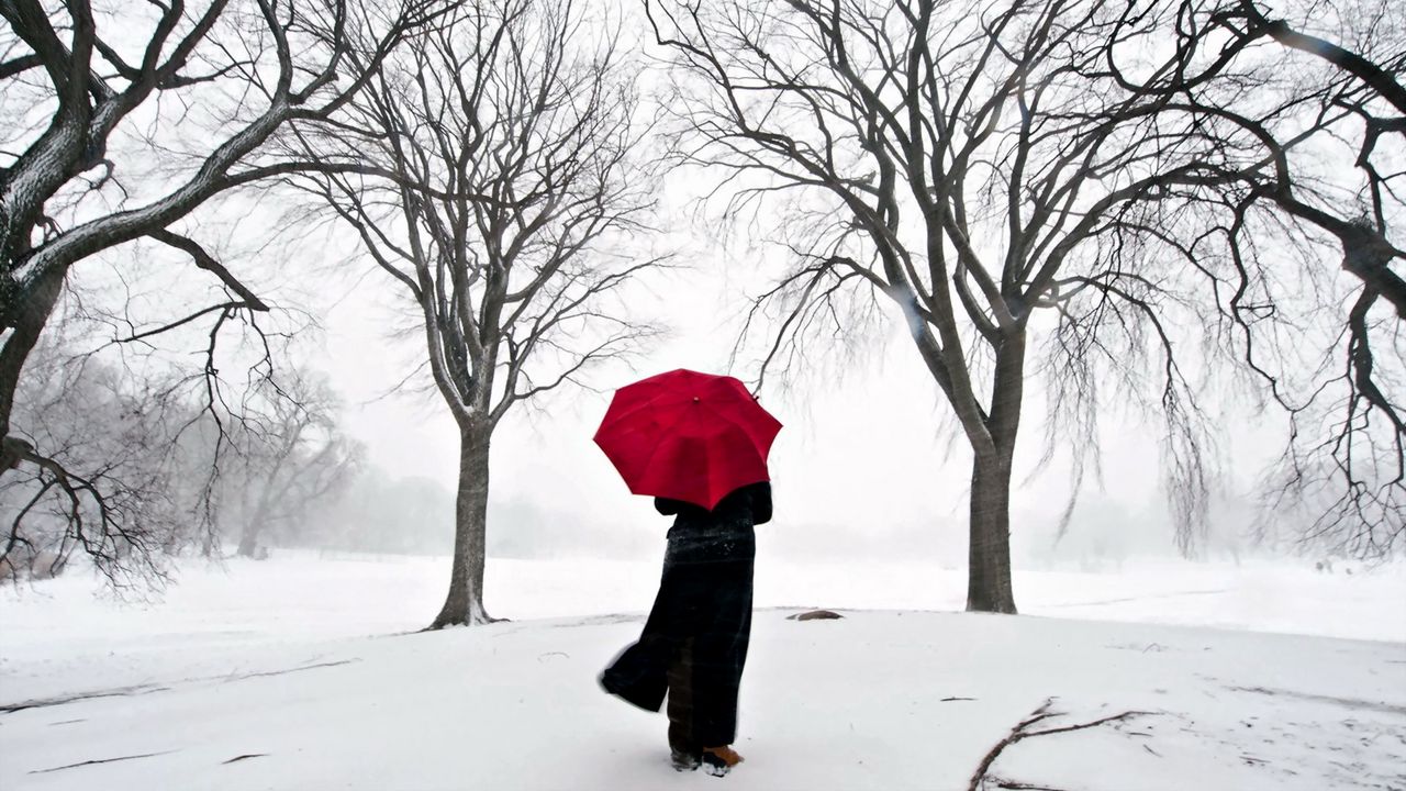 Обои девушка, зонт, сакура, снег, япония
