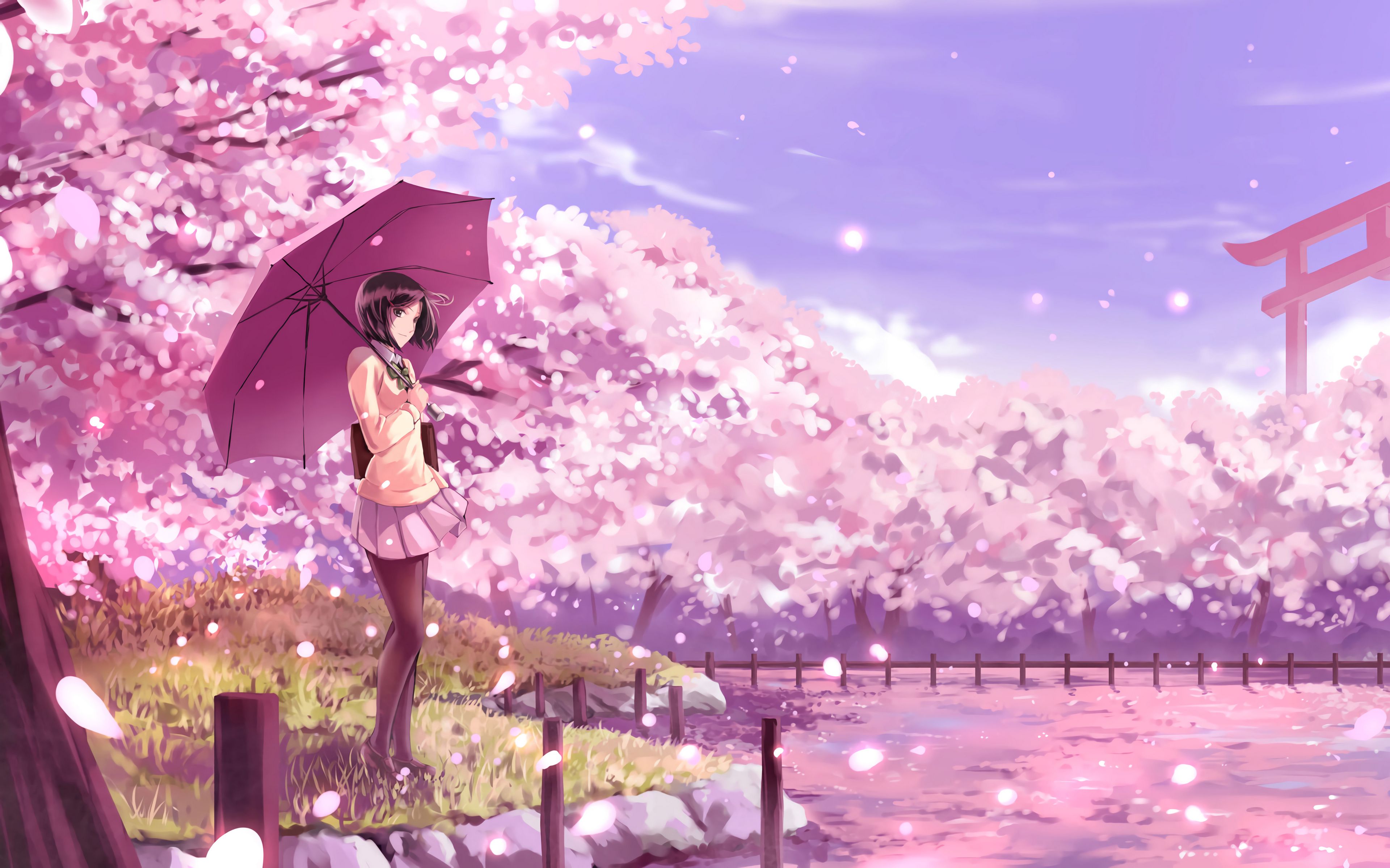 Sakura anime wallpaper