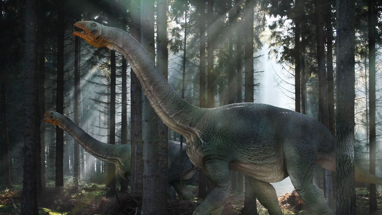 Обои динозавр, мезозойская эра, прогулка, лес