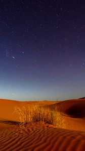 Превью обои дюны, пустыня, пески, трава, ночь, звездное небо
