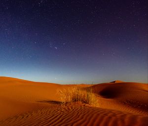 Превью обои дюны, пустыня, пески, трава, ночь, звездное небо