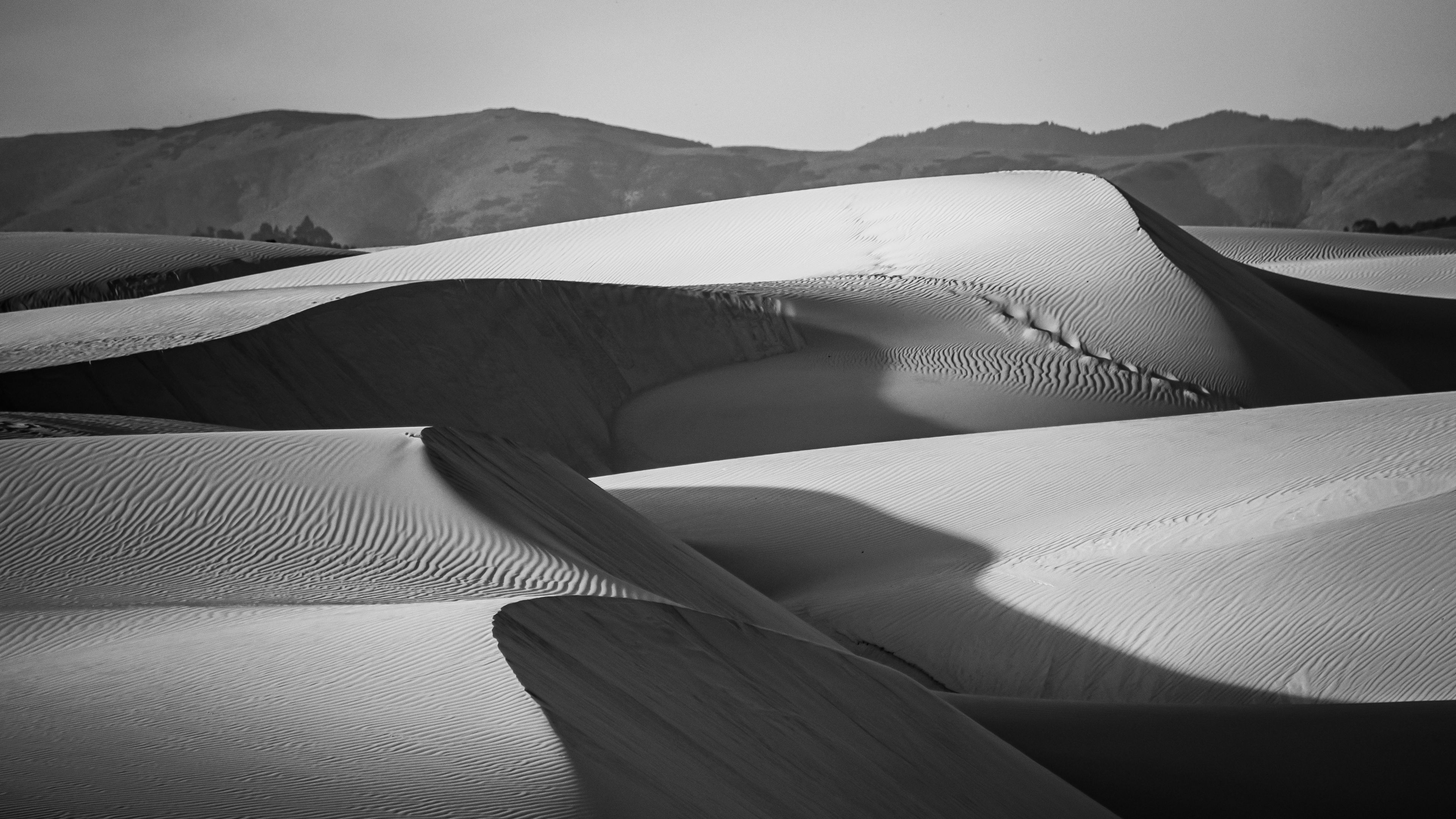 Пустыня картинки черно белые
