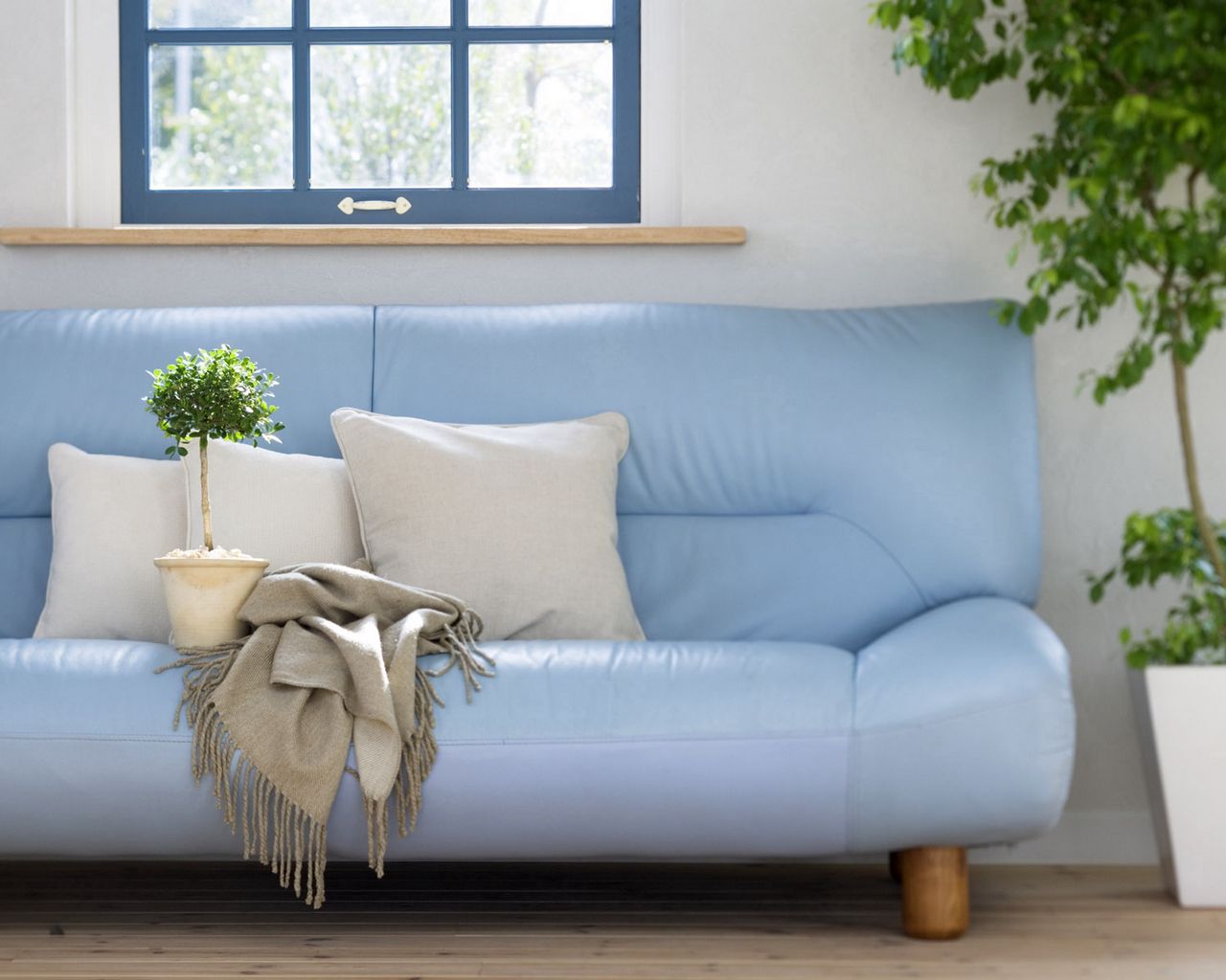Пастельно голубой диван