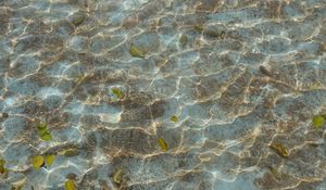 Превью обои дно, блики, море, вода, листья