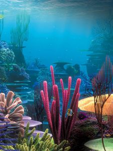 Превью обои дно, океан, кораллы, разноцветные, под водой, мир