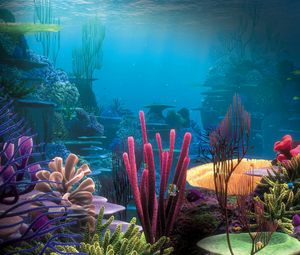 Превью обои дно, океан, кораллы, разноцветные, под водой, мир