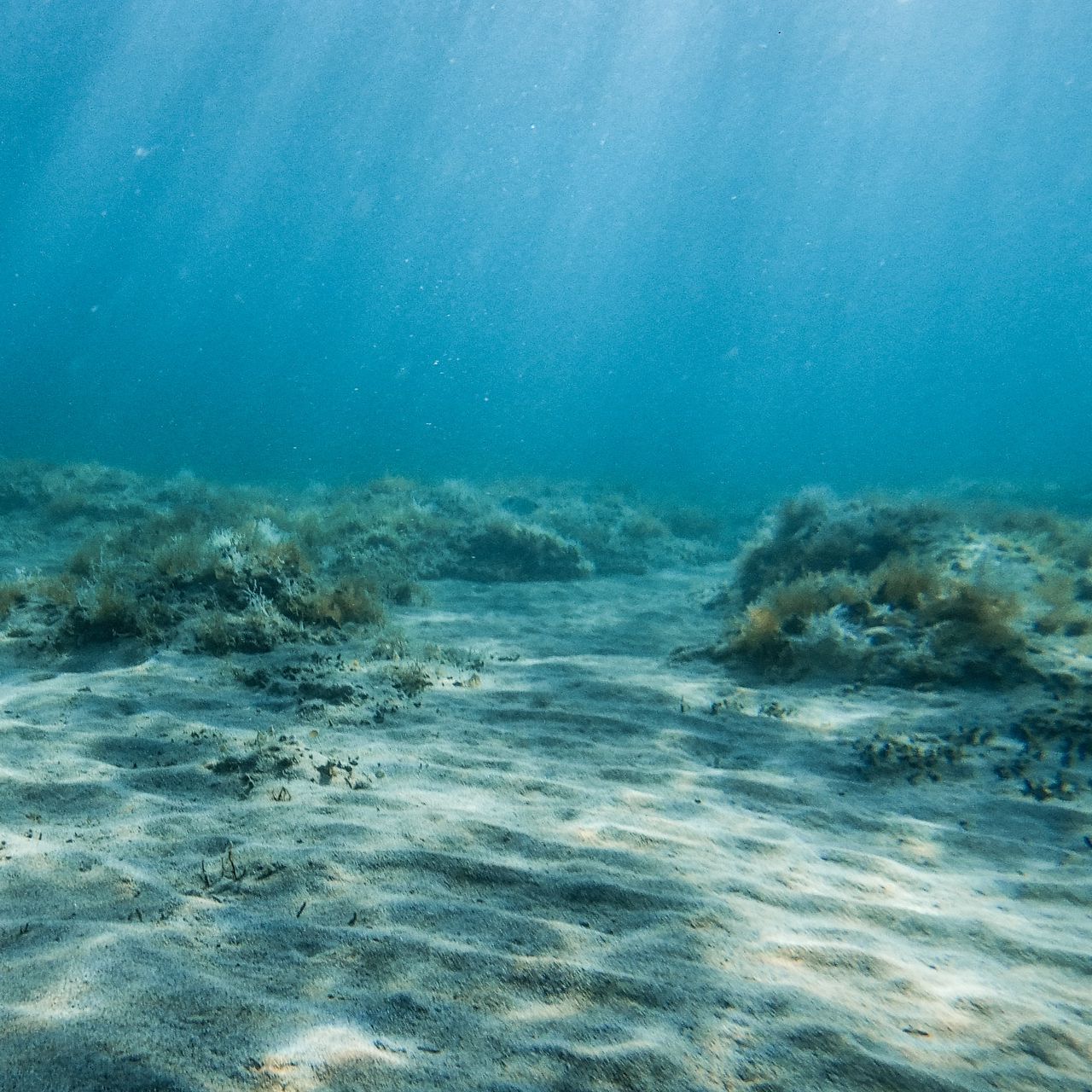 Дну фотографии. Песчаное дно. Песчаное дно моря. Дно океана песок. Песочное дно океан.