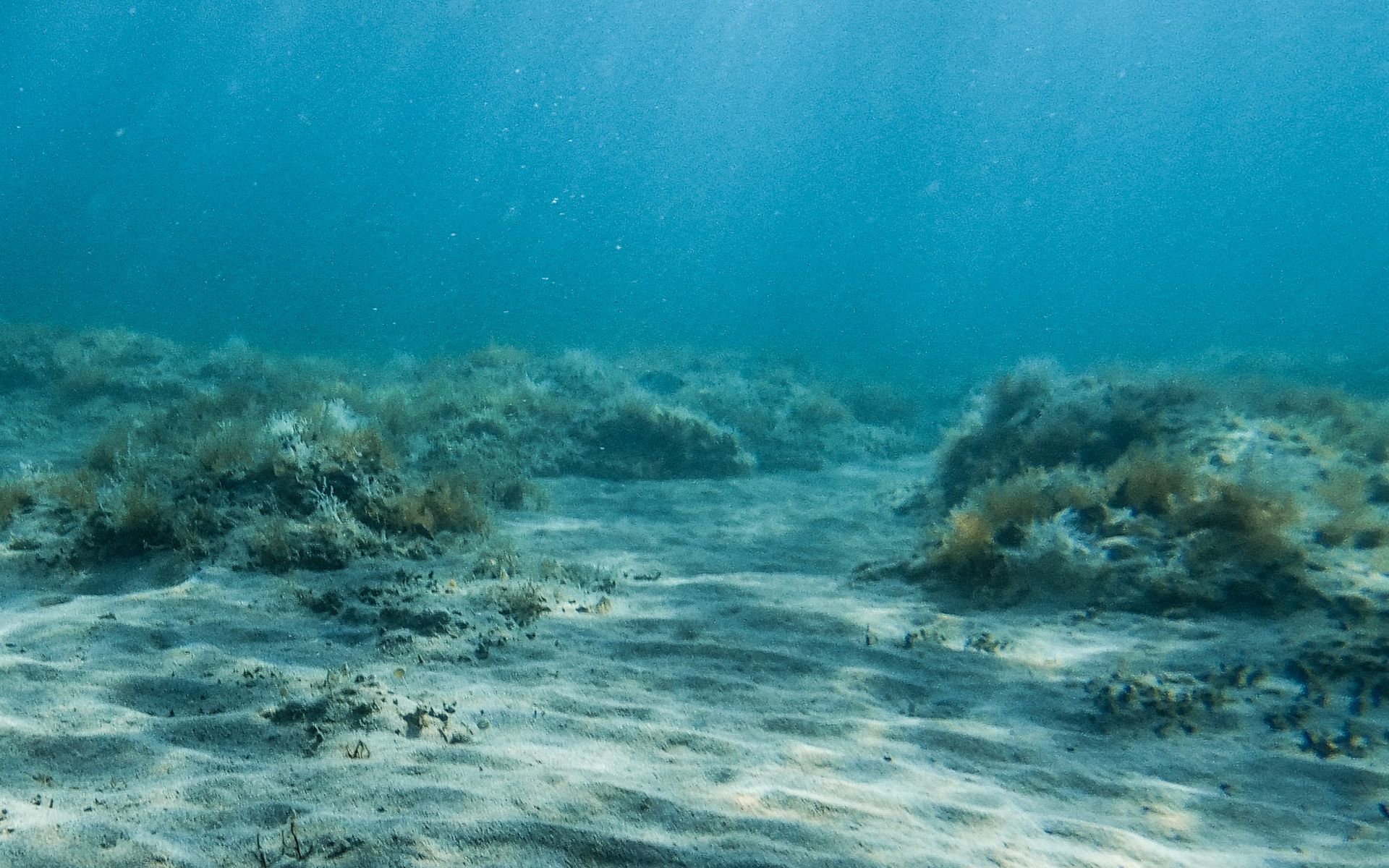 азовское море под водой