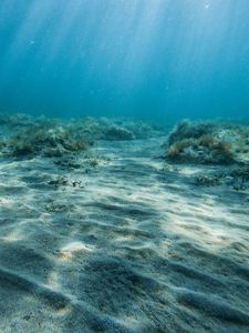 Превью обои дно, песок, кораллы, вода, лучи