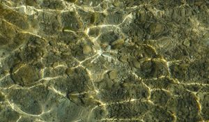 Превью обои дно, подводный, вода, камни, блики