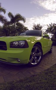 Превью обои dodge charger daytona, dodge, зеленый, спорткар