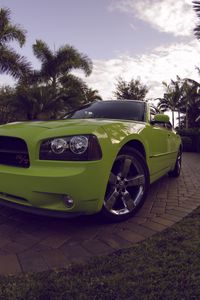 Превью обои dodge charger daytona, dodge, зеленый, спорткар