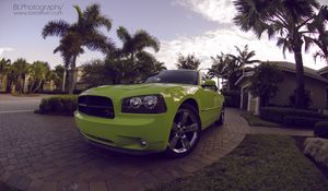 Превью обои dodge charger daytona, dodge, зеленый, спорткар