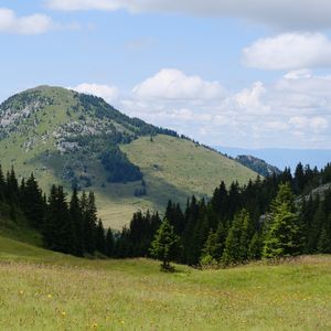 Превью обои долина, деревья, холм, склон, природа