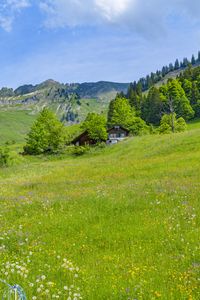 Превью обои долина, домики, деревья, горы, природа, пейзаж