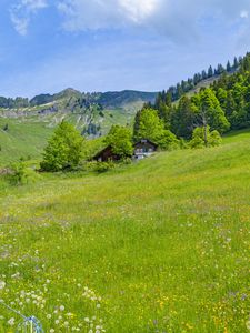 Превью обои долина, домики, деревья, горы, природа, пейзаж