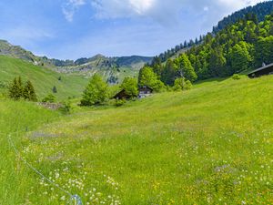 Превью обои долина, домики, деревья, горы, природа, пейзаж