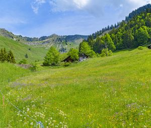 Превью обои долина, домики, деревья, горы, природа, пейзаж