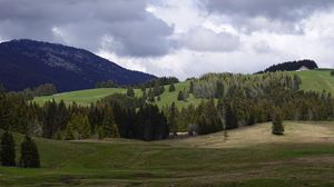 Превью обои долина, холмы, деревья, пейзаж