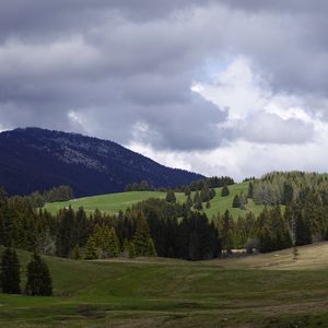 Превью обои долина, холмы, деревья, пейзаж