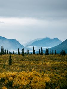 Превью обои долина, кусты, пейзаж, деревья, горы