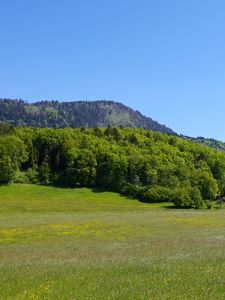 Превью обои долина, поле, горы, деревья, пейзаж